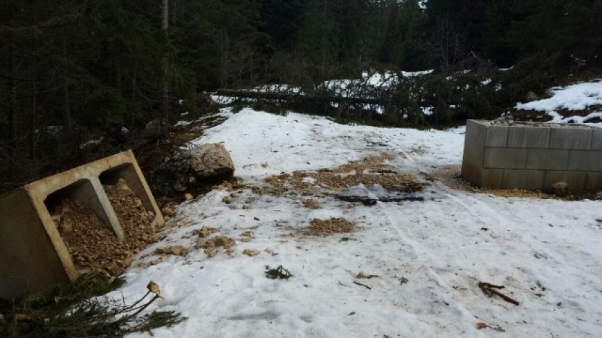 Vjetar porušio drveće na Kukotnici kod Travnika